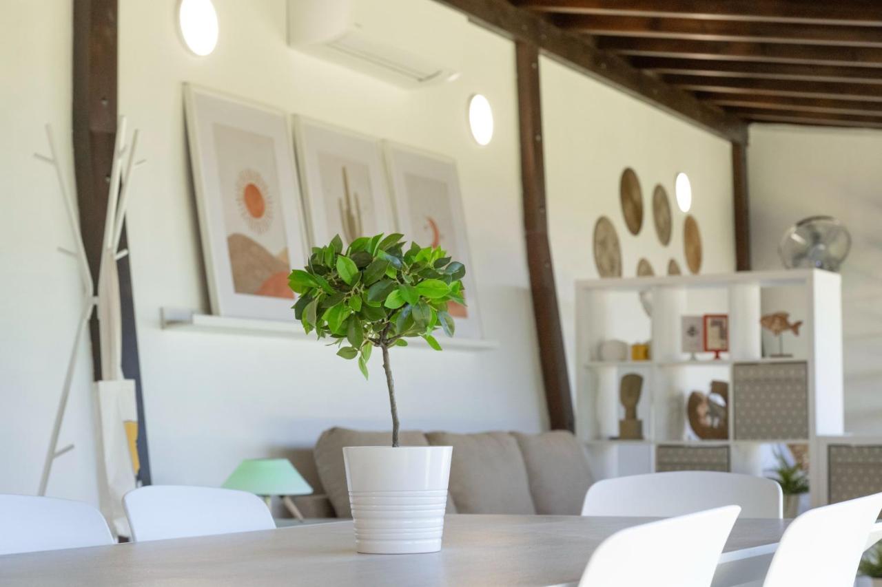 Moderno Loft Recien Reformado En Santa Cruz De Tenerife La Monja Ngoại thất bức ảnh